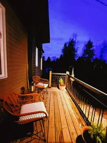 Stylized forest retreat + Fire + Animals welcome - Image 5