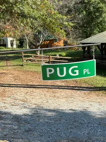 Pugs Place - Image 3