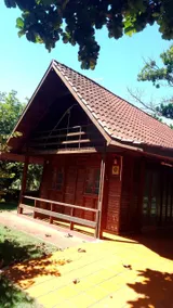 Farm in Jabur (Sertaneja, 70 km from Londrina) - Image 2