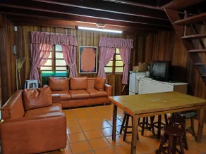 Farm in Jabur (Sertaneja, 70 km from Londrina) - Image 5