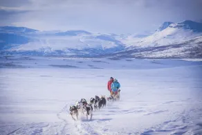 Likkà Husky Lodge - Image 3