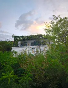 Pelican Bay House - Skadar Lake - Image 3