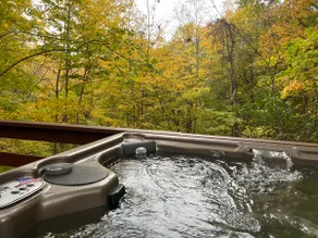 Cozy Cottage with Forest View - Hot Tub - Image 2