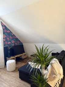 Accommodation in the Salers, Puy Mary, Lioran area - Image 2