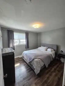 Red Maple Duplex - Near Murphy's Square - Image 3