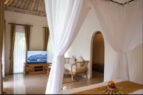 Peaceful private pool villa with ricefield view - Image 5
