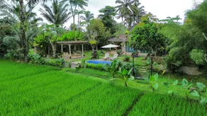 Peaceful private pool villa with ricefield view - Image 4