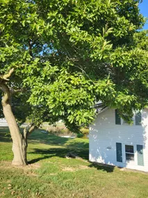 the Spring House - Image 4