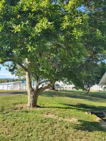 the Spring House - Image 5