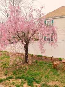Cozy Condo in the Bradford/Haverhill area - Image 4