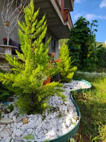 A house with a mountain view, a garden and a children's playroom. - Image 4