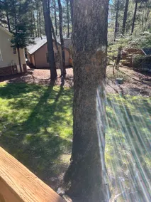 Tanglewood Retreat - Image 2