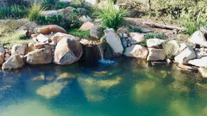 Casa Naranja | Off-grid Hideaway Agnes Water 1770 - Image 2