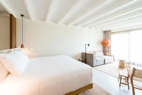 King Suite - Jacuzzi - Ground Floor - Image 5