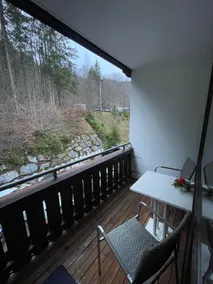 Cozy Alpine Retreat near Hallstatt and Dachstein - Image 5