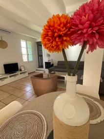 Air-conditioned cottage in the heart of the vineyards, Canal du Midi - Image 4