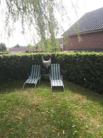 Inne Schuur - Image 4