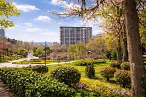 Mziuri Park View•Balcony•Netflix•Gym 24/7 Nearby - Image 5