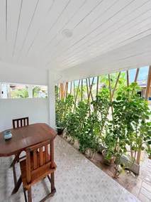 TK3 Lychee TIKI Bungalow - Image 5