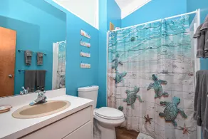 Sky Blue 321 - Image 3