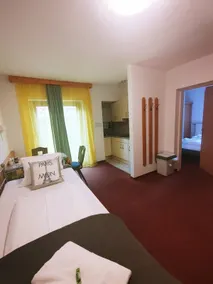 One bedroom apartment for 4 people with kitchen - Image 3