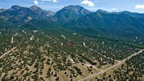 White Lotus House: 2 BR, 2.5 BA on 3 Acres - Image 2