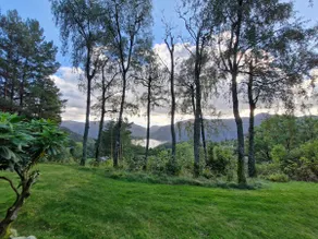 Mini cottage overlooking Høgsfjorden - Image 2