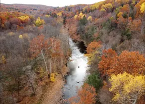 Hudson Valley | Hot Tub + 120 Acres + Fire Pit - Image 3
