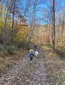 Hudson Valley | Hot Tub + 120 Acres + Fire Pit - Image 5
