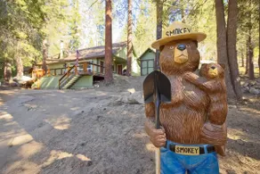 Fire pit, kids play area, treehouse, zipline, pets - Image 2