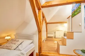 Villa Harmony - Apartment RIXY - by the castle - Image 4