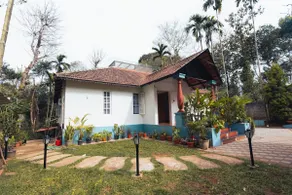 Rua by the Plantation - Image 3