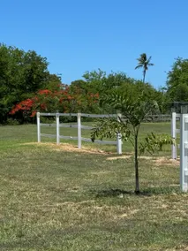 Hacienda Don Angel - Image 2