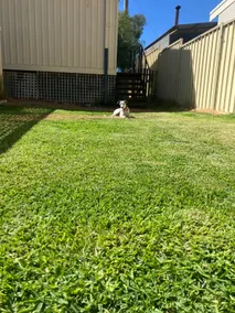 'Seas the Day' Preston Beach Home Pet-Friendly! - Image 4
