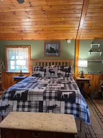 Grasse River Cabin - Image 4