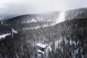 Stay North - Moonlet - Image 3