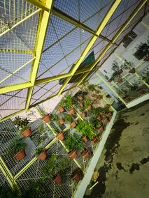 Entire floor in prime city location with Kitchen - Image 5