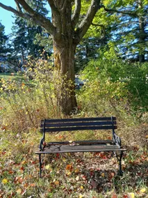 The Homestead - Image 4
