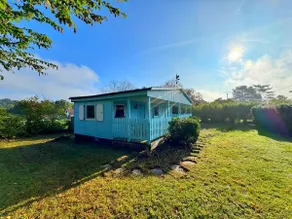 Blue house - Image 4