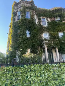 Ingleside Oasis - Image 2