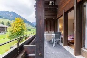 In naturepark with Balcony | BBQ + View + Gondola - Image 5