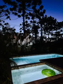 Home Theater | Private Waterfall | Heated Pool - Image 2