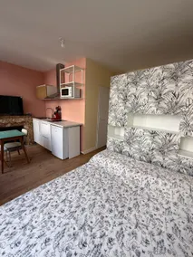 La Tour renovated studio – Rue Grotte-Jardin-Sanctuaires - Image 3
