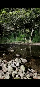 Blue Cabin - Mountain Brewery - Image 5