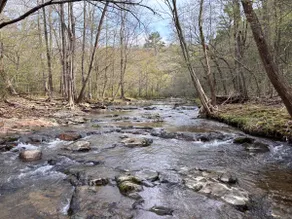 Cove Creek Retreat/23 Acres Hot Springs AR - Image 4