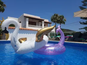 🌴 Villa Kiku Ibiza – Piscine et salle pre-party · 8 min Ushuaïa - Image 3