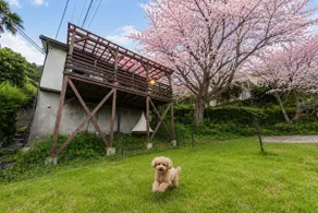 Year-Round Sakura Onsen | Ocean View| Dogs Welcome - Image 2