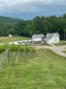 Private Vineyard Farmhouse • Trails, Pond & Lake - Image 3