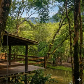 Lago Das Carpas - Image 2