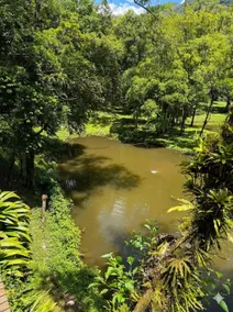 Lago Das Carpas - Image 3